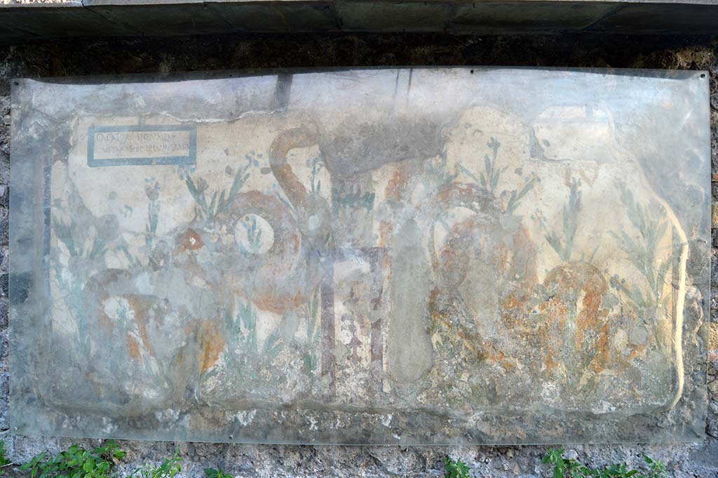 V.6.19 Pompeii. October 2017. Detail of painted lararium on exterior wall.
Foto Taylor Lauritsen, ERC Grant 681269 DÉCOR.
