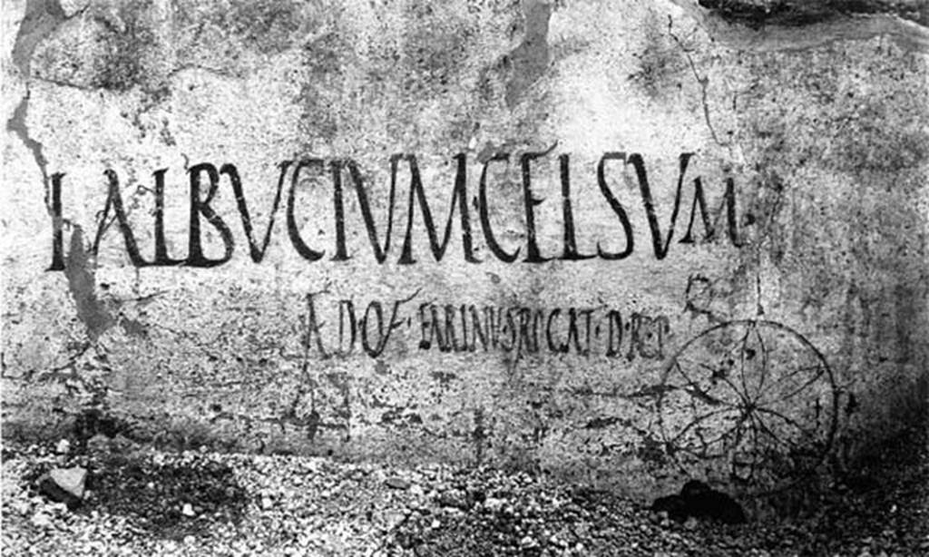 I.19.4 Pompeii. Graffiti on east of entrance doorway, no longer conserved.
L. ALBVCIVM CELSVM
AED O V F EARINVS ROGAT D R P

L(ucium) Albucium Celsu//m 
aed(ilem) o(ro) v(os) f(aciatis) Earinus rogat d(ignum) r(ei) p(ublicae)       [CIL IV 7387]

Also found was
Drapetae omnes      [CIL IV 7389]

See Epigraphik-Datenbank Clauss/Slaby (www.manfredclauss.de).
According to Varone and Stefani, these were found to the east (left) of the entrance of I.19.4 but are no longer conserved.
See Varone, A. and Stefani, G., 2009. Titulorum Pictorum Pompeianorum, Rome: LErma di Bretschneider, p. 172-3.

