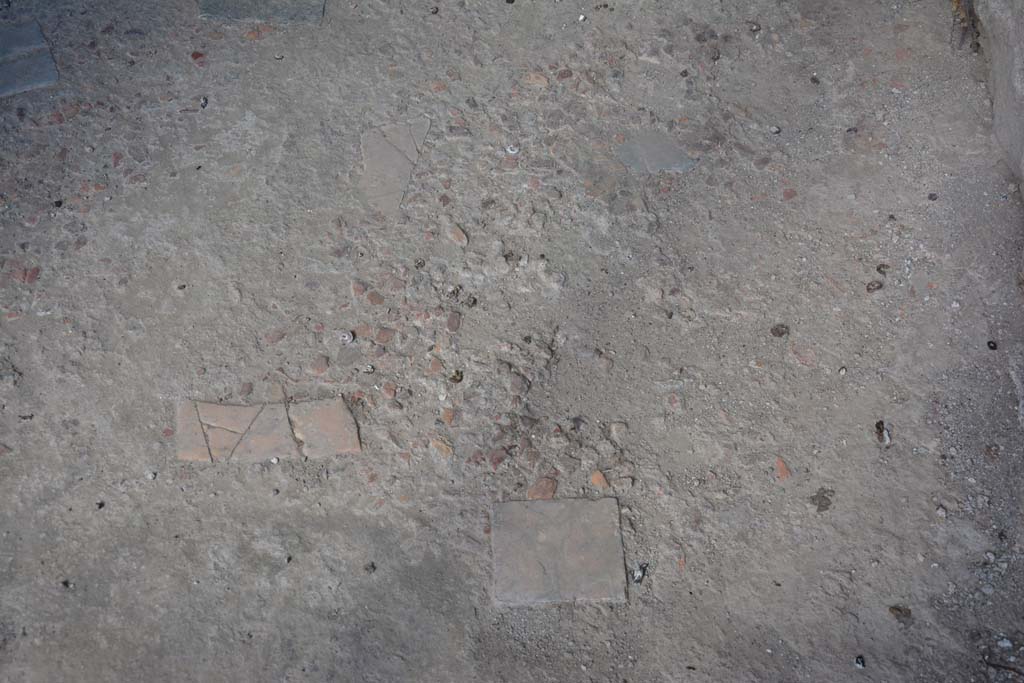 VI.15.9 Pompeii. July 2017. Detail of flooring in entrance corridor.
Foto Annette Haug, ERC Grant 681269 DCOR.

