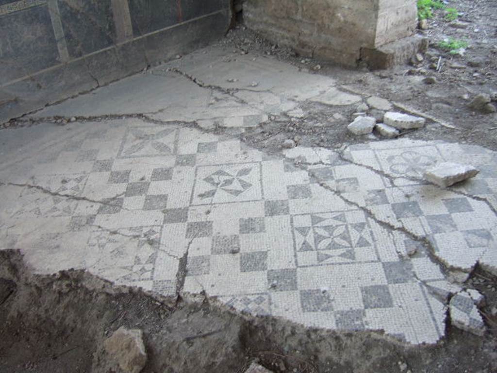 VI.17.36, Pompeii. May 2006. Taken from VI.17.41. Looking north-west. Black and white mosaic floor of western cubiculum (room b) of VI.17.36, on south side of peristyle. The west decorated wall can be seen in the top left, it had a black zoccolo. According to PPP, the middle zone of the wall was yellow.
See Bragantini, de Vos, Badoni, 1986. Pitture e Pavimenti di Pompei, Parte 3. Rome: ICCD. (p.2)


