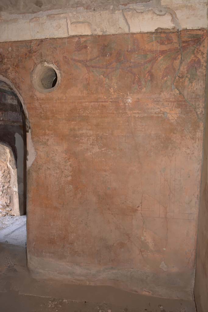 VII.1.40 Pompeii. September 2019. Tepidarium 15, east wall.
Foto Annette Haug, ERC Grant 681269 DÉCOR.
