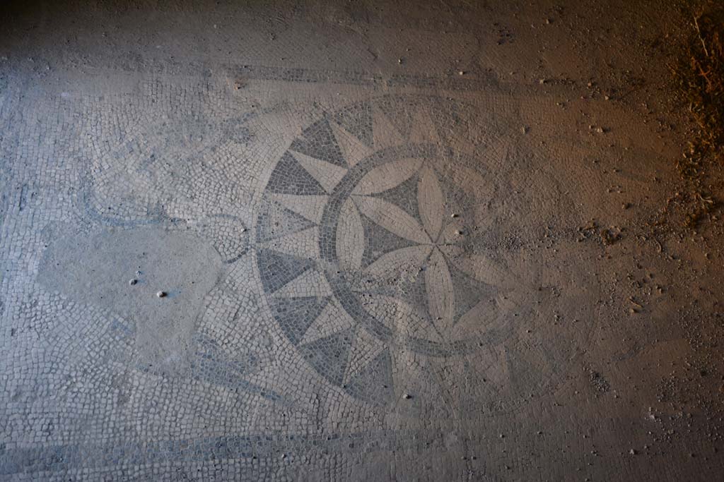 VII.1.40 Pompeii. September 2019. Caldarium 16, detail of mosaic flooring.
Foto Annette Haug, ERC Grant 681269 DÉCOR.

