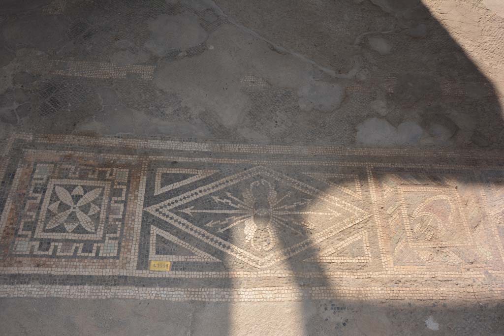 VII.1.40 Pompeii. September 2019. 
Tablinum 11, east end of threshold with black and white mosaics with the use of polychrome tesserae.
Foto Annette Haug, ERC Grant 681269 DÉCOR.
