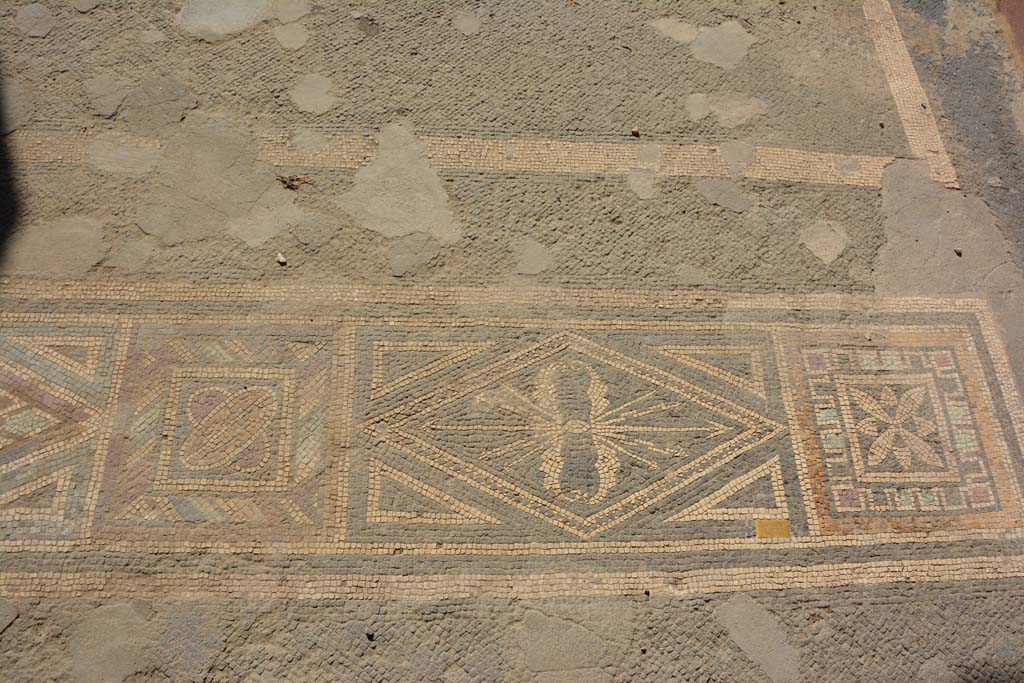 VII.1.40 Pompeii. September 2019. Tablinum 11, mosaic doorway threshold at west end.
Foto Annette Haug, ERC Grant 681269 DÉCOR.

