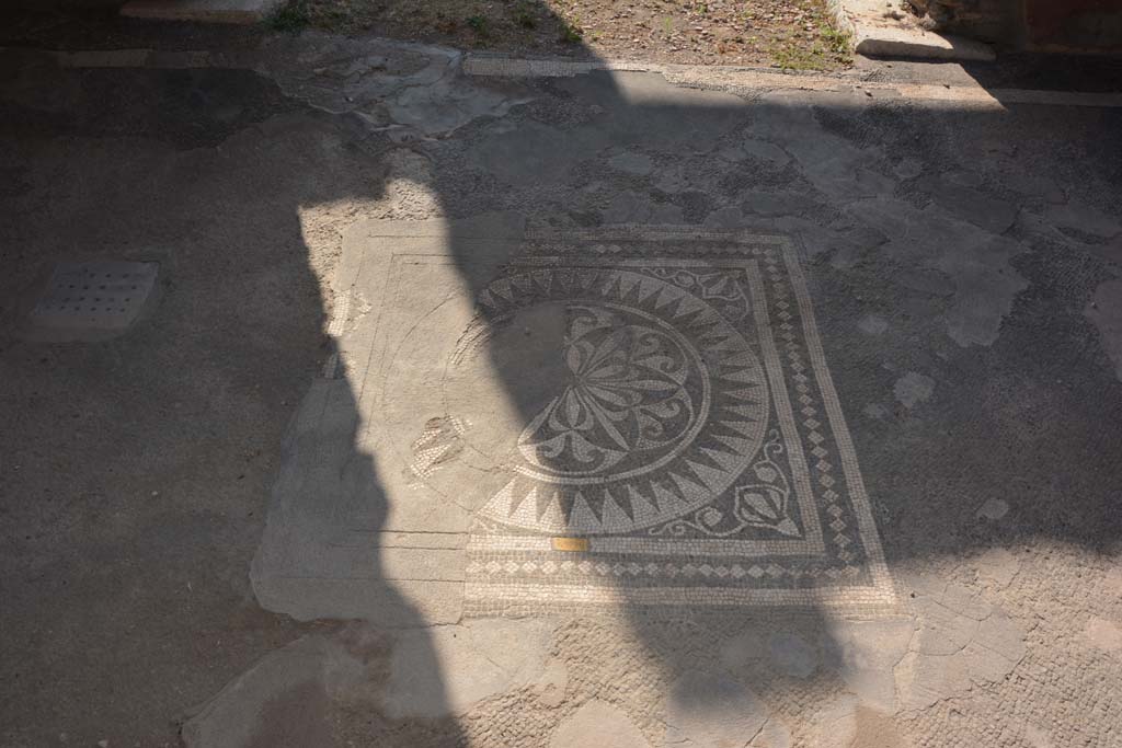 VII.1.40 Pompeii. September 2019. Tablinum 11, black and white central emblema.
Foto Annette Haug, ERC Grant 681269 DÉCOR.
