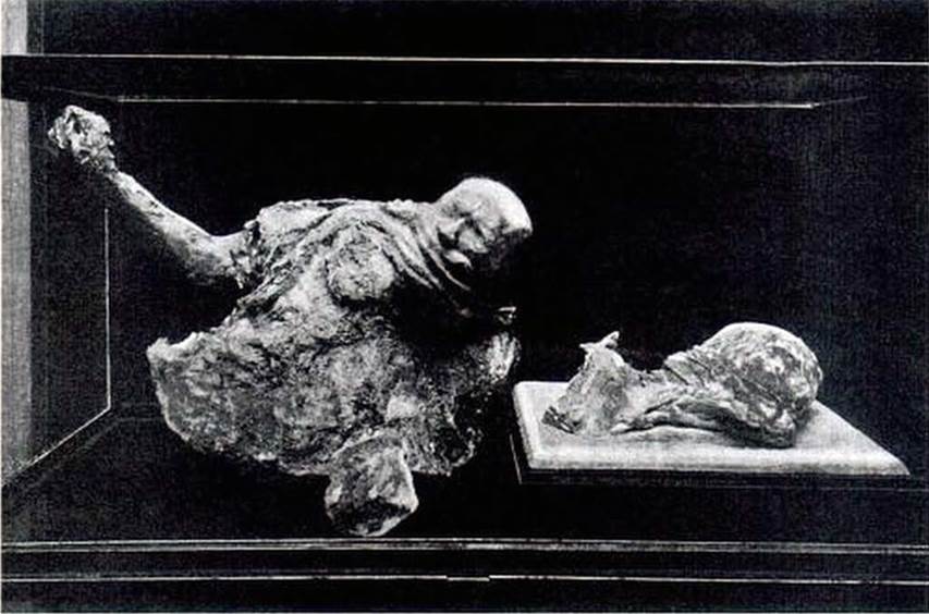 Boscoreale, Villa della Pisanella. 1923. Torcularium. Body cast of head and abdomen and the head of a woman in Pompeii Antiquarium. 
The torso was destroyed in the bombing of 1943 and the woman's head damaged and only partly recovered.
See Sogliano, A., 1923. Guida di Pompei: 3rd ed. Milano, p. 5.
See Garcia y Garcia, L., 2006. Danni di guerra a Pompei. Rome: L’Erma di Bretschneider, p. 198, fig. 463.

