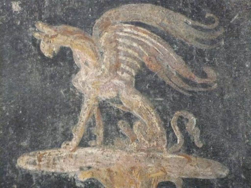 Oplontis, May 2010. Area 40, detail of painted griffin from north wall. Photo courtesy of Buzz Ferebee.
