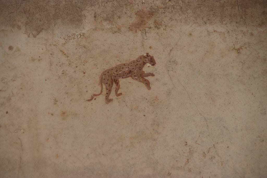 Oplontis Villa of Poppea, September 2021. Portico 40, painting of leopard on east wall. Photo courtesy of Klaus Heese.