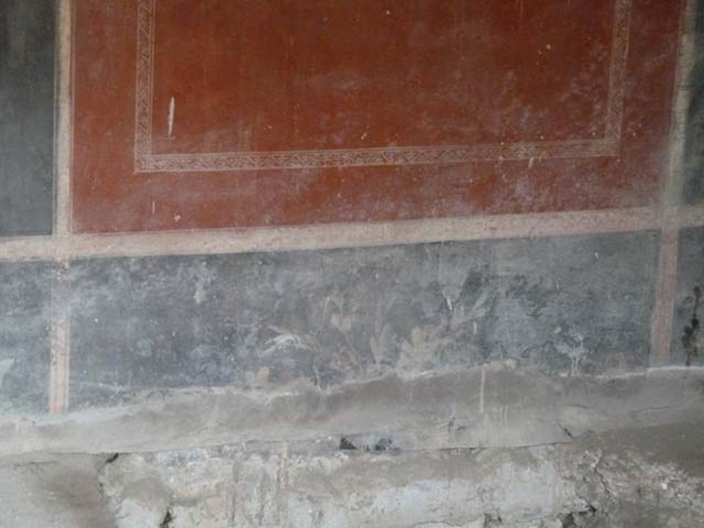 Oplontis, September 2015. Room 55, black zoccolo with plant painting on south wall.