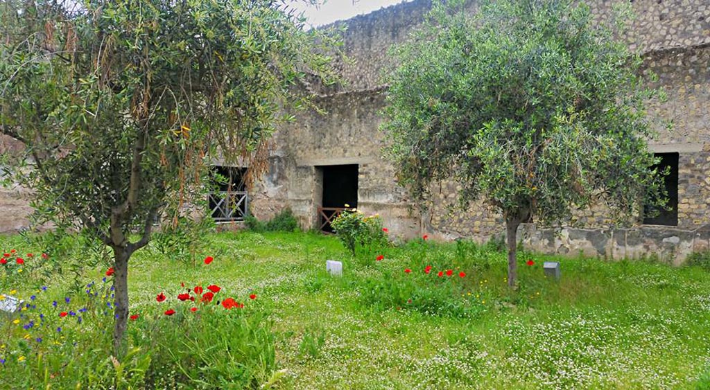Oplontis Villa of Poppea, April 2016. North garden 56, looking towards south-east corner. Photo courtesy of Giuseppe Ciaramella.