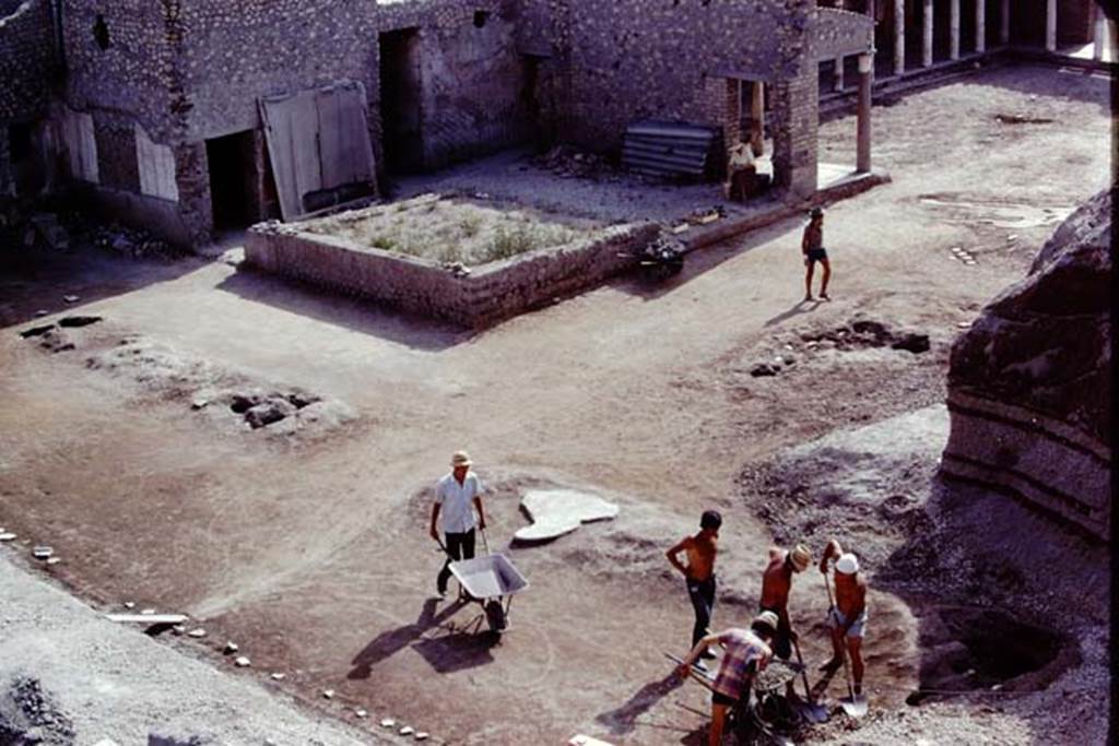 Oplontis, 1975. Excavating at original ground level in the north-east corner of the north garden. 4 tree-root cavities in a line, and two possible clumps of small trees or bushes, on the right.  Photo by Stanley A. Jashemski.   
Source: The Wilhelmina and Stanley A. Jashemski archive in the University of Maryland Library, Special Collections (See collection page) and made available under the Creative Commons Attribution-Non Commercial License v.4. See Licence and use details. J75f0180
