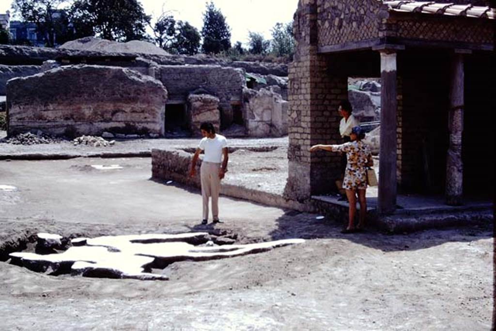 Oplontis, 1975. Looking south-east across strange root cavity at north end of room 34, the east portico. At the rear are the two doors leading into room 64.   Photo by Stanley A. Jashemski.   
Source: The Wilhelmina and Stanley A. Jashemski archive in the University of Maryland Library, Special Collections (See collection page) and made available under the Creative Commons Attribution-Non Commercial License v.4. See Licence and use details. J75f0471

