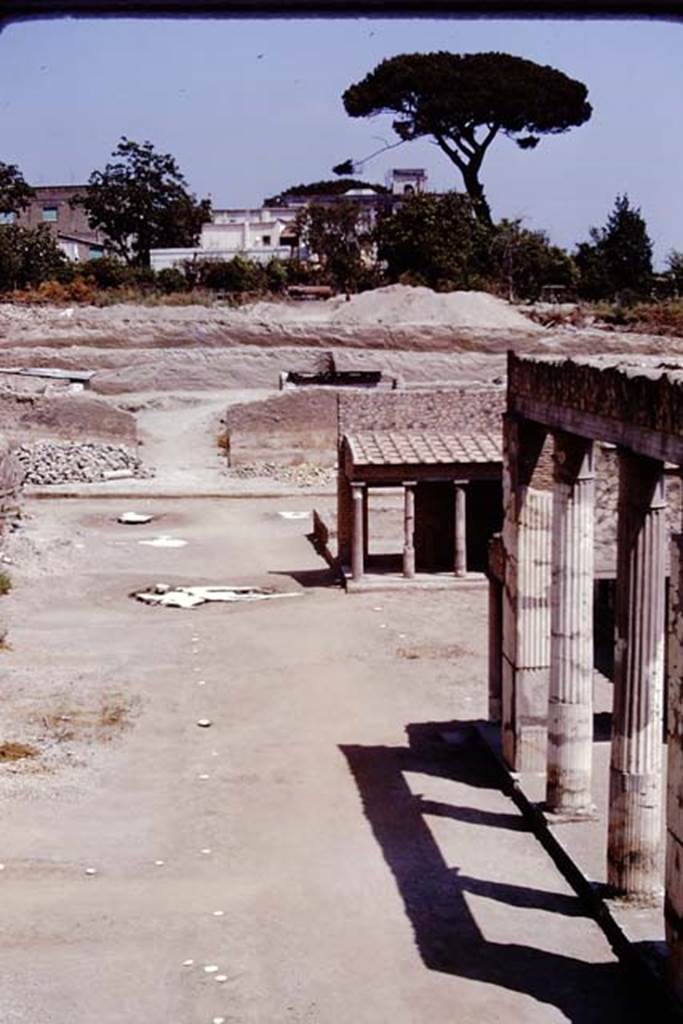 Oplontis, 1975. Looking east across north garden, with line of root cavities alongside the east-west path. Photo by Stanley A. Jashemski.   
Source: The Wilhelmina and Stanley A. Jashemski archive in the University of Maryland Library, Special Collections (See collection page) and made available under the Creative Commons Attribution-Non Commercial License v.4. See Licence and use details. J75f0510
