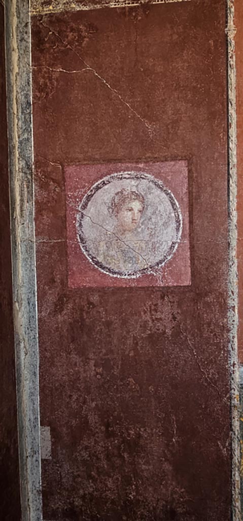 Stabiae, Villa Arianna, December 2023.
Room 7, painted medallion from east end of south wall. 
Photo courtesy of Miriam Colomer.
