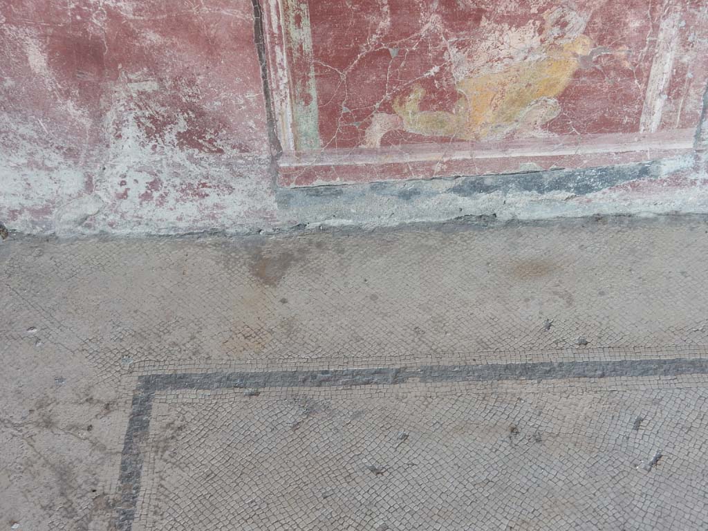 Stabiae, Villa Arianna, June 2019. Room 2, detail of painted panel on south wall and mosaic flooring, 
Photo courtesy of Buzz Ferebee.
