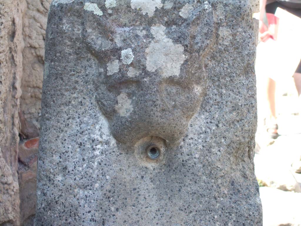 Fountain with relief of head of panther, between VI.16.3 and VI.16.4. September 2005.