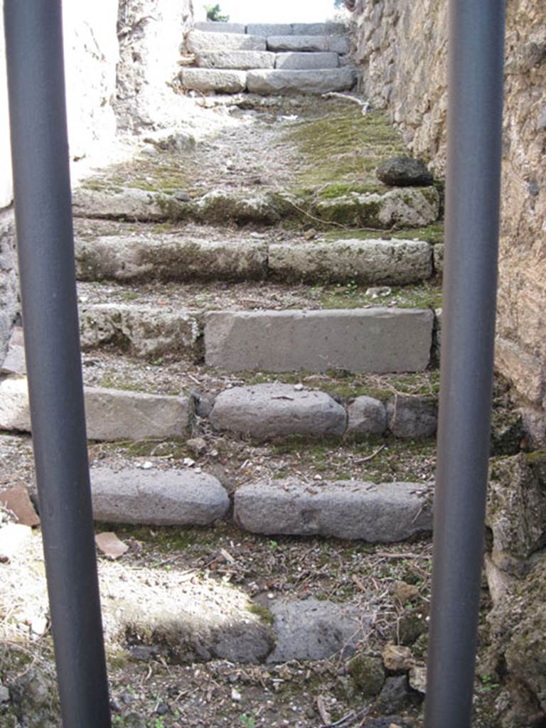 I.3.3 Pompeii. September 2010. Entrance leading from the east side of the atrium. The lower 7 steps lead to a sloping landing. On the north (left) side of the landing there is a doorway to further steps leading down to subterranean floor. A further 5 steps lead east from the landing to upper peristyle.  Photo courtesy of Drew Baker.

