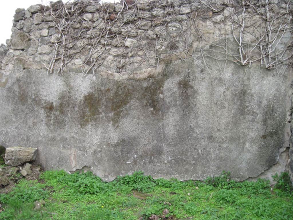 I.3.29 Pompeii. September 2010. Room 5, south wall. Photo courtesy of Drew Baker.