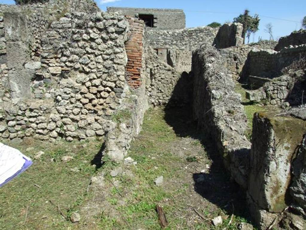 I.3.30 Pompeii.  March 2009.  Room 9. in south east corner of Peristyle Garden.