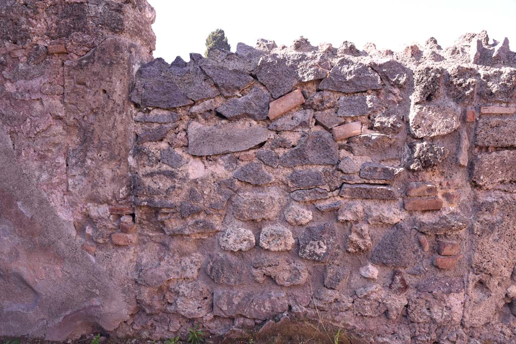 I.4.12 Pompeii. October 2019. Room d, detail of west wall. 
Foto Tobias Busen, ERC Grant 681269 DCOR.

