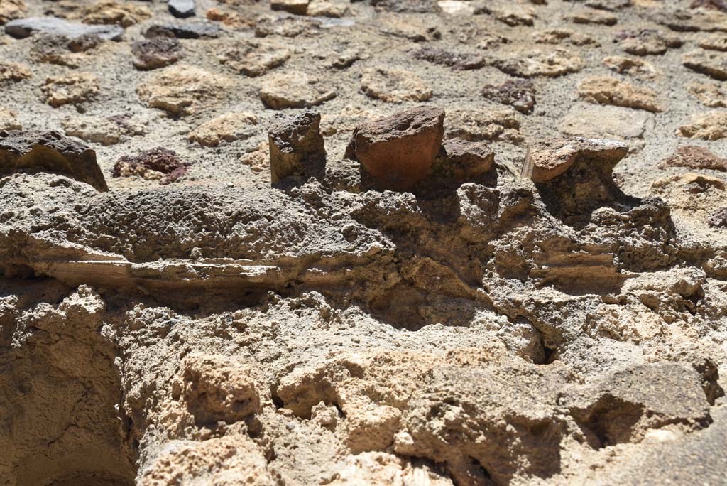 I.4.25 Pompeii. September 2020. Room 48, detail of centre.
Foto Tobias Busen, ERC Grant 681269 DCOR
