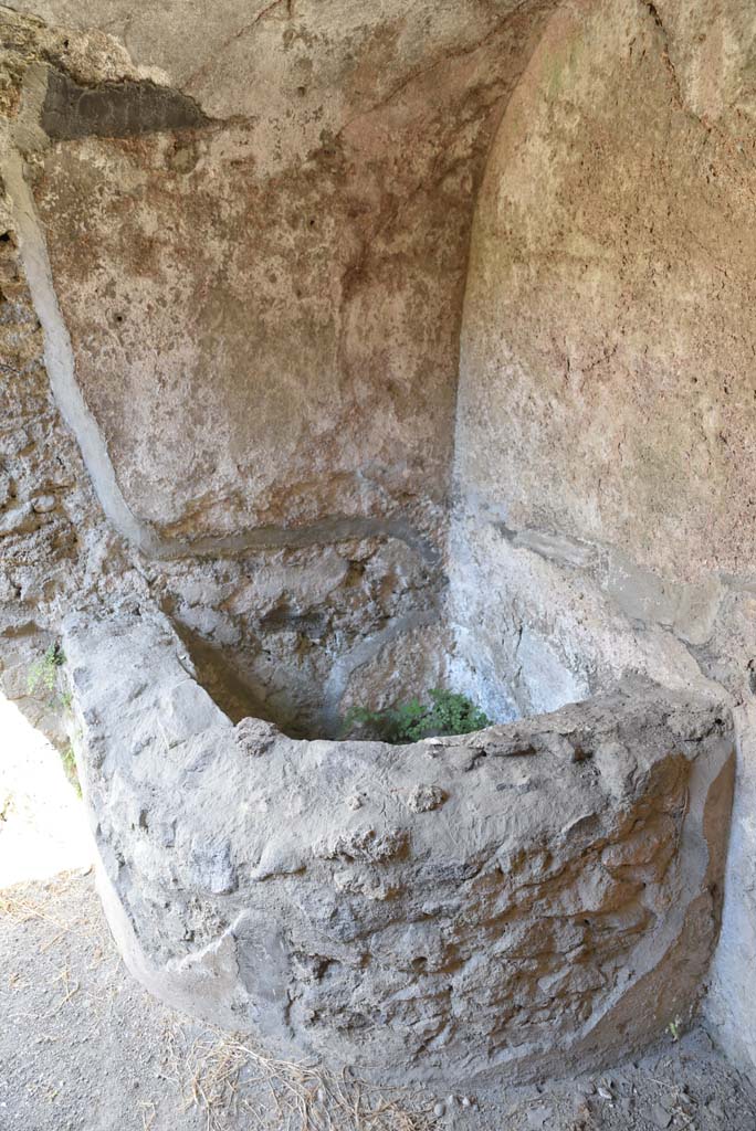 I.4.25/I.4.5 Pompeii. September 2020. 
Unnumbered corridor/room, basin/vat in vaulted area at east end of corridor with steps.
Foto Tobias Busen, ERC Grant 681269 DCOR.
