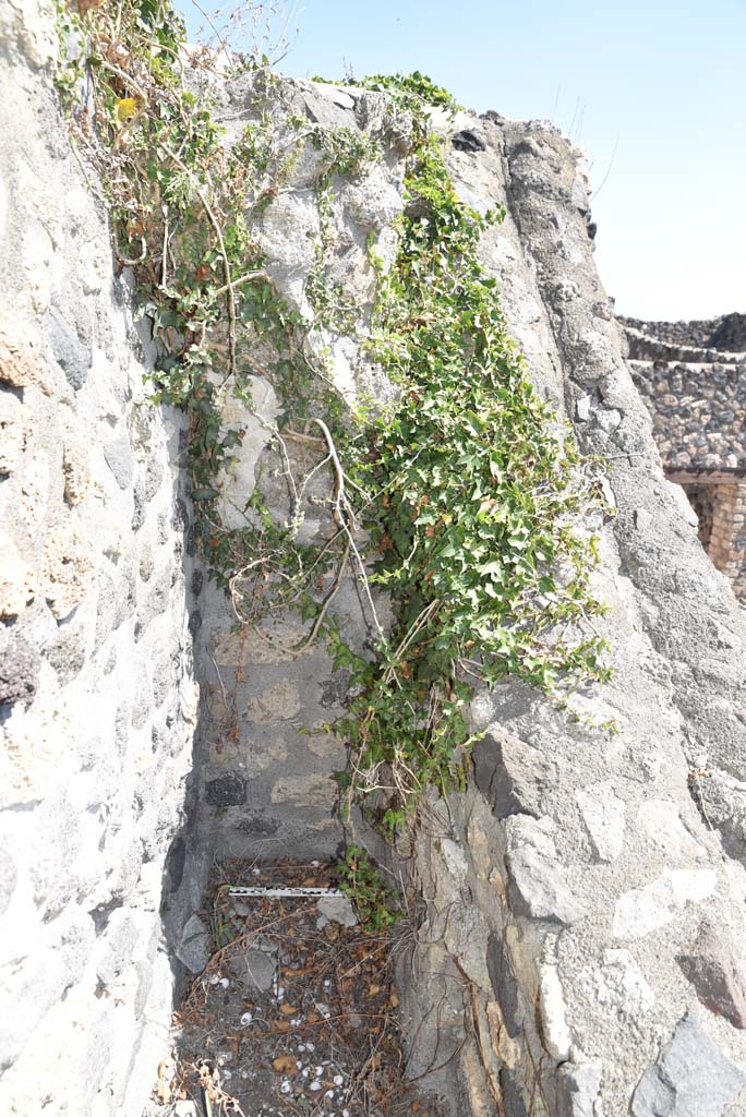 I.4.25 Pompeii. September 2020. Upper Peristyle 56/Middle Peristyle 17, detail.
Foto Tobias Busen, ERC Grant 681269 DCOR.
