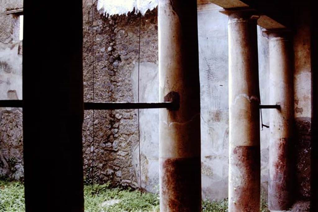 I.7.19 Pompeii. 1972. Looking south-west across portico into garden. Photo by Stanley A. Jashemski. 
Source: The Wilhelmina and Stanley A. Jashemski archive in the University of Maryland Library, Special Collections (See collection page) and made available under the Creative Commons Attribution-Non Commercial License v.4. See Licence and use details. J72f0104
