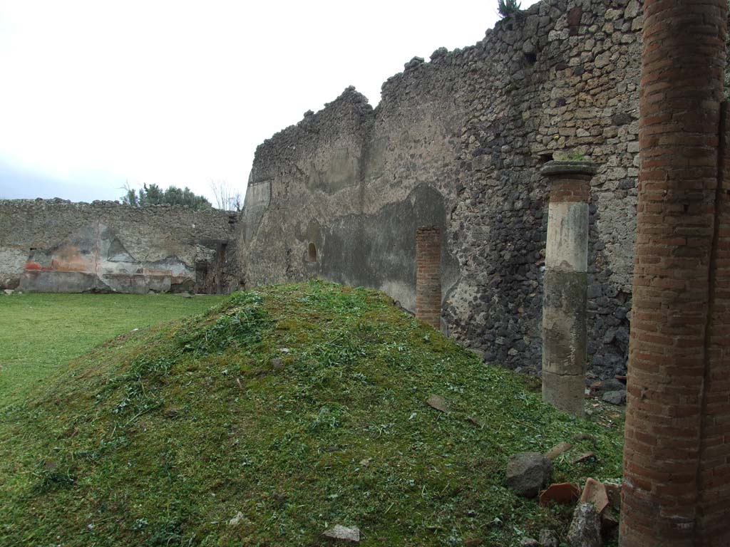 I.9.3 Pompeii. March 2009. Room 6, west wall of garden area.  