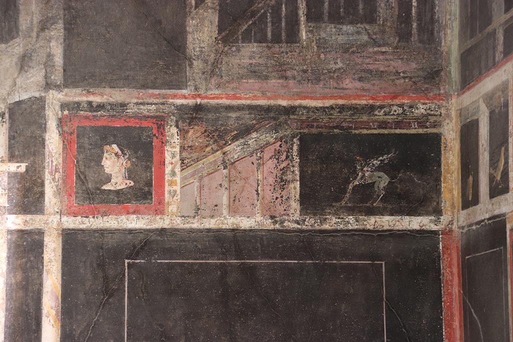 I.9.5 Pompeii. October 2024. Room 10, upper north wall at east end. Photo courtesy of Klaus Heese