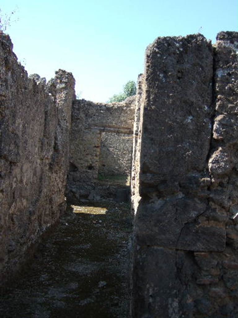 I.9.9 Pompeii.  September 2005. Looking west along corridor leading to rear.

