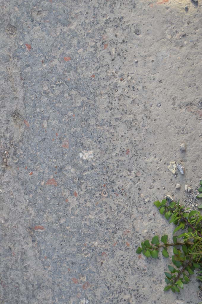 I.9.13 Pompeii. March 2019. Detail of pavement.
Foto Taylor Lauritsen, ERC Grant 681269 DCOR.
