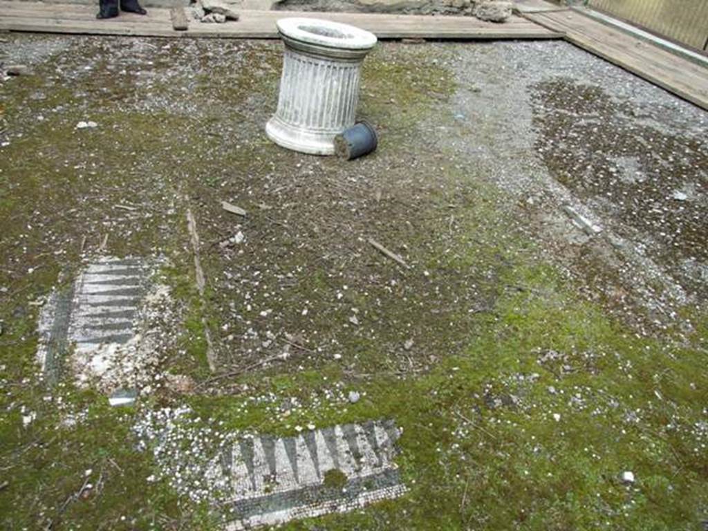 I.9.14 Pompeii. March 2009. Room 8.  Atrium.   Mosaic edge of impluvium.