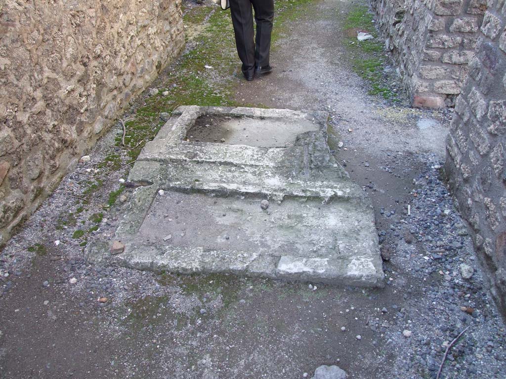 I.11.8 Pompeii. December 2006. Entrance corridor with plaster-cast.