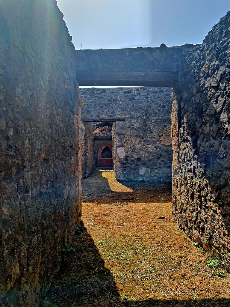 I.14.7 Pompeii. September 2024. 
Looking south from entrance corridor across atrium. Photo courtesy of Giuseppe Ciaramella.
