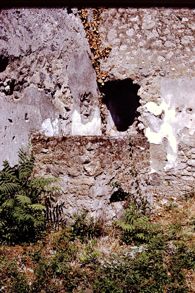 I.15.1 Pompeii. 1966. House, room right W of fauces, E wall.  Photo courtesy of Anne Laidlaw.
American Academy in Rome, Photographic Archive. Laidlaw collection _P_66_3_34.

