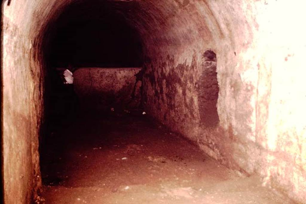 I.20.1 Pompeii. 1964 .Looking across wine cellar towards niche in wall. Photo by Stanley A. Jashemski.
Source: The Wilhelmina and Stanley A. Jashemski archive in the University of Maryland Library, Special Collections (See collection page) and made available under the Creative Commons Attribution-Non Commercial License v.4. See Licence and use details.
J64f1893
