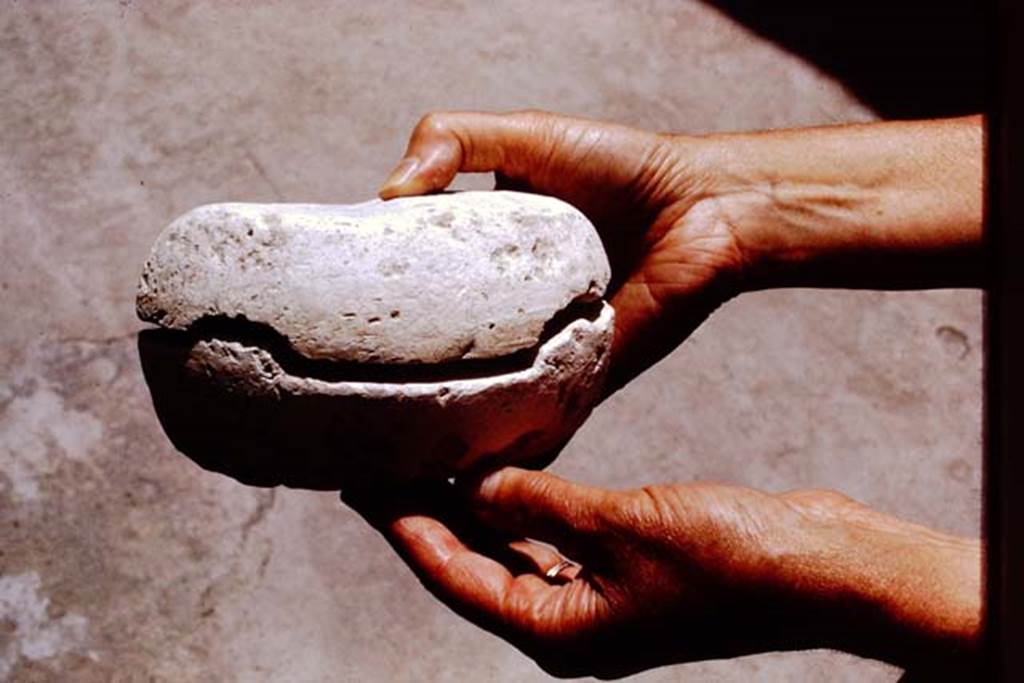 I.20.3 Pompeii. 1972. Example of two-halves of a mould, used to make the lamps found here. Photo by Stanley A. Jashemski. 
Source: The Wilhelmina and Stanley A. Jashemski archive in the University of Maryland Library, Special Collections (See collection page) and made available under the Creative Commons Attribution-Non Commercial License v.4. See Licence and use details. J72f0116
