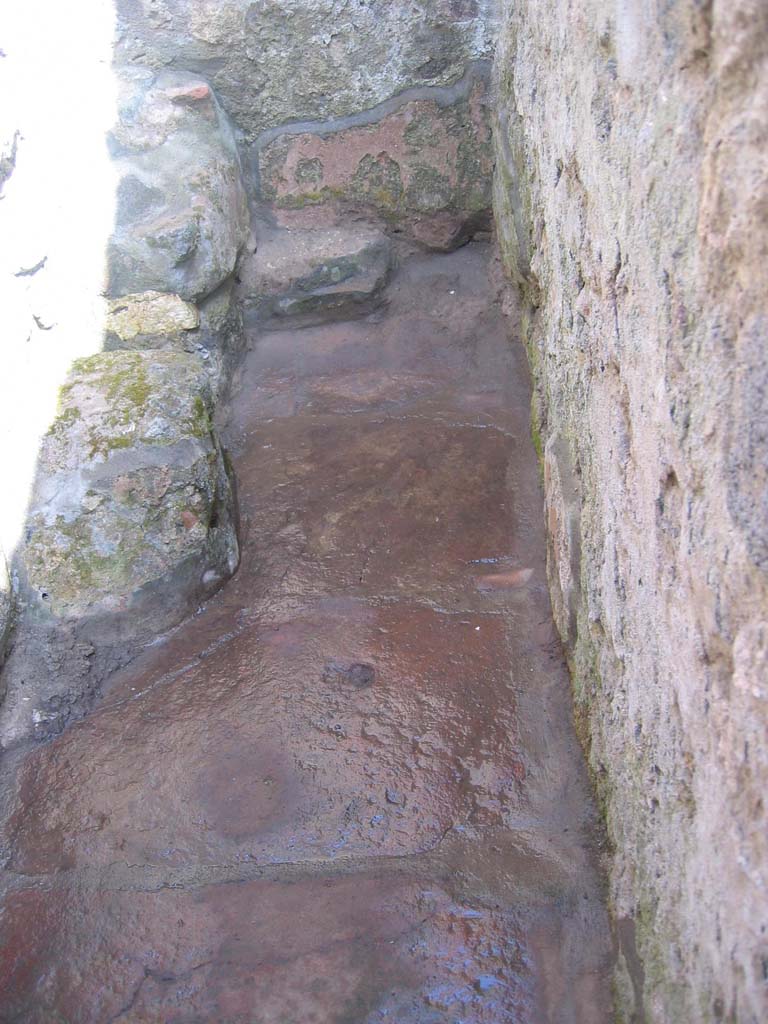 I.20.4 Pompeii. July 2008. Latrine, after cleaning. Photo courtesy of Barry Hobson.