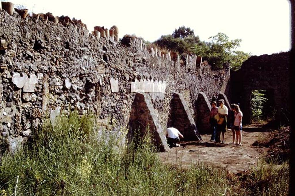 I.20.5 Pompeii. 1971. Looking east along the Interior of the north wall. 
Source: The Wilhelmina and Stanley A. Jashemski archive in the University of Maryland Library, Special Collections (See collection page) and made available under the Creative Commons Attribution-Non Commercial License v.4. See Licence and use details. Jmit0051
