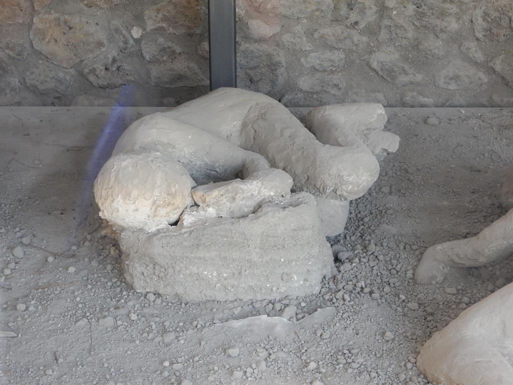 I.21.6 Pompeii. May 2016. Detail of a plaster cast of victim 46. Photo courtesy of Buzz Ferebee.