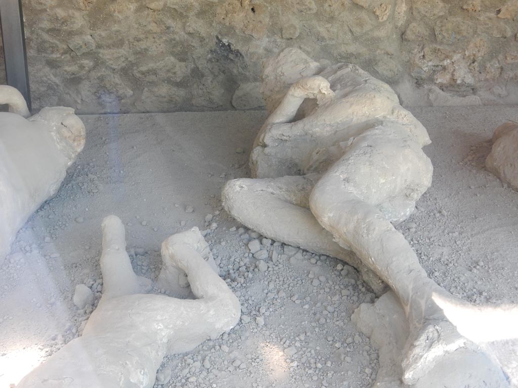 I.21.6 Pompeii. May 2016. Detail of plaster casts of the impression of bodies. Victim 39. Photo courtesy of Buzz Ferebee.