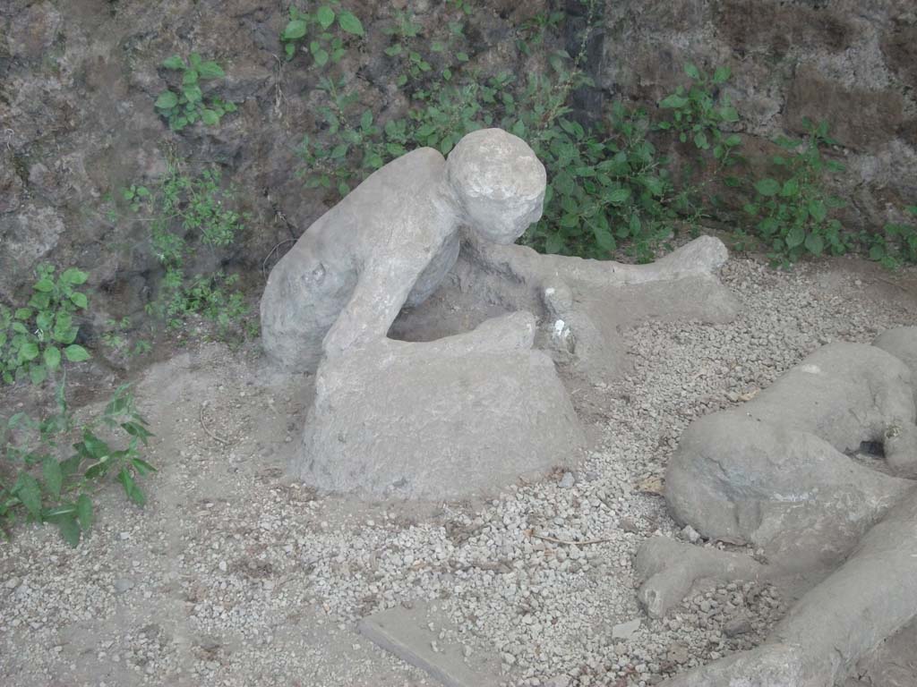 I.21.6 Pompeii. May 2010. Victim 43, left. Victim 44, right. Detail of plaster casts of impressions of bodies.