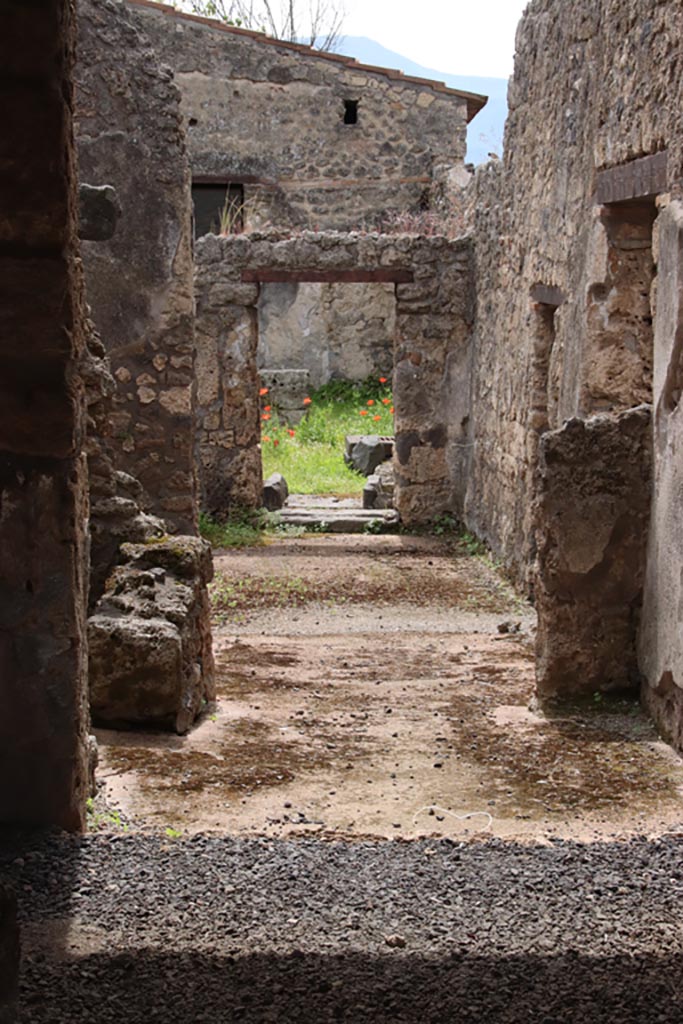 II.1.1 Pompeii. May 2024.  
Looking south towards rear and II.1.13. Photo courtesy of Klaus Heese.
