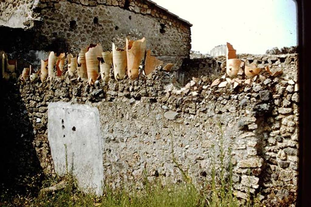 II.1.13/II.1.2 Pompeii. 1959. Looking towards west wall of garden of II.1.2, shared with east wall of garden area of II.1.1/13. 
The wall had broken amphorae inserted in its top. Photo by Stanley A. Jashemski.
Source: The Wilhelmina and Stanley A. Jashemski archive in the University of Maryland Library, Special Collections (See collection page) and made available under the Creative Commons Attribution-Non Commercial License v.4. See Licence and use details.
J59f0103

