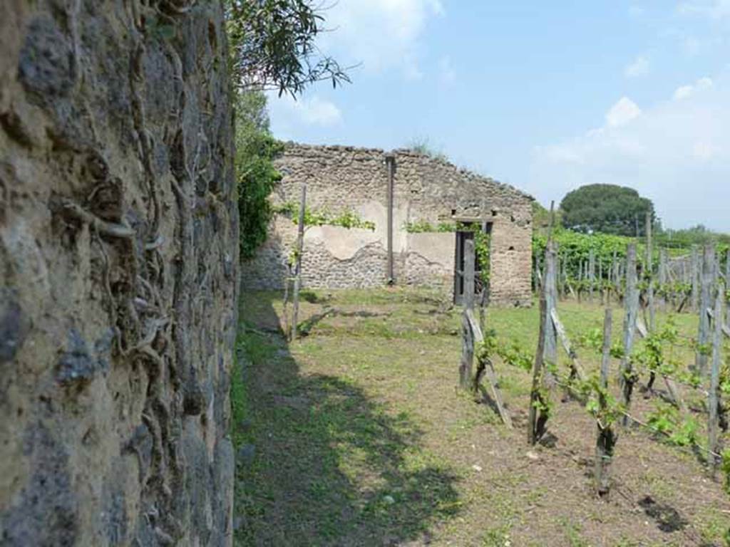 II.5.1 Pompeii. May 2010.  Looking north, over wall of Vicolo dell’Anfiteatro, towards triclinium.