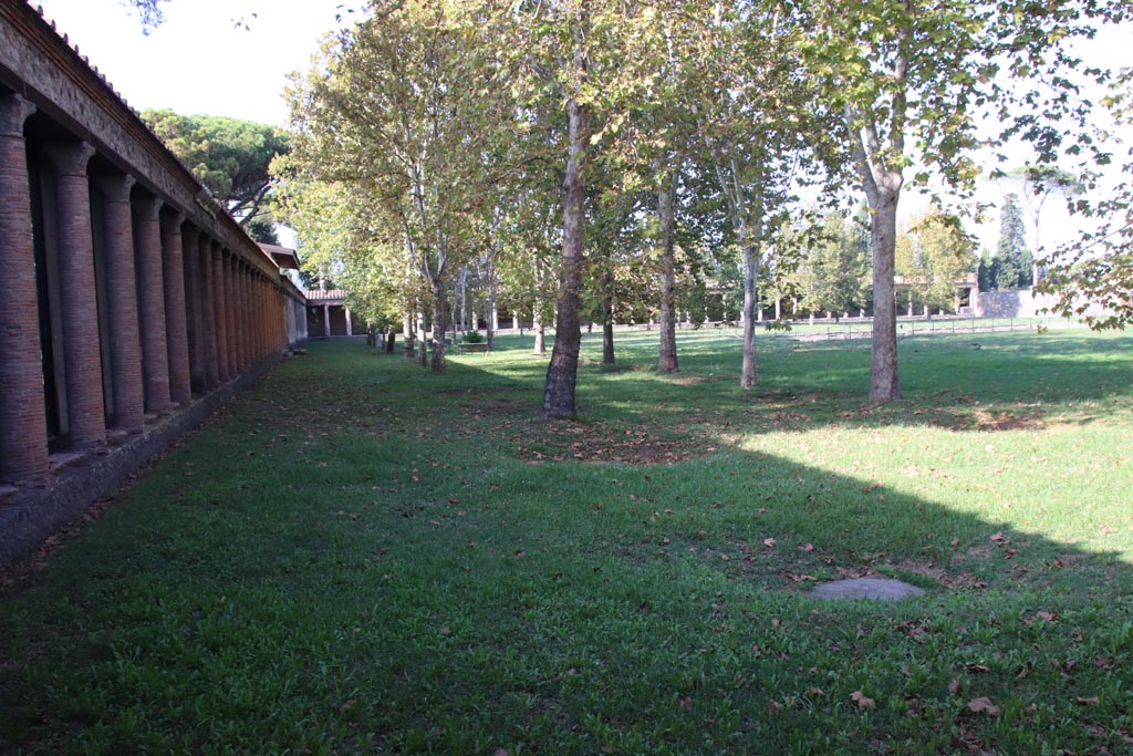 II.7.1 Pompeii. Palaestra. April 2019. Looking north towards Vesuvius, in distance behind trees. 
Photo courtesy of Rick Bauer.
