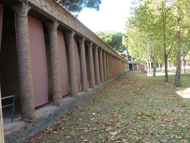 II.7.1 Pompeii. Palaestra. July 2021. 
Looking east towards plaster-casts of tree-roots, and entrances at II.7.5, II.7.4 and II.7.3, in centre, and II.7.2, on right behind tree.
Foto Annette Haug, ERC Grant 681269 DÉCOR.
