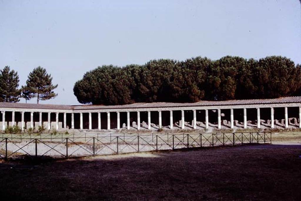 II.7.8 Pompeii. Palaestra. 1972. Looking across the pool towards the north-west corner and north side. Photo by Stanley A. Jashemski. 
Source: The Wilhelmina and Stanley A. Jashemski archive in the University of Maryland Library, Special Collections (See collection page) and made available under the Creative Commons Attribution-Non Commercial License v.4. See Licence and use details. J72f0595
