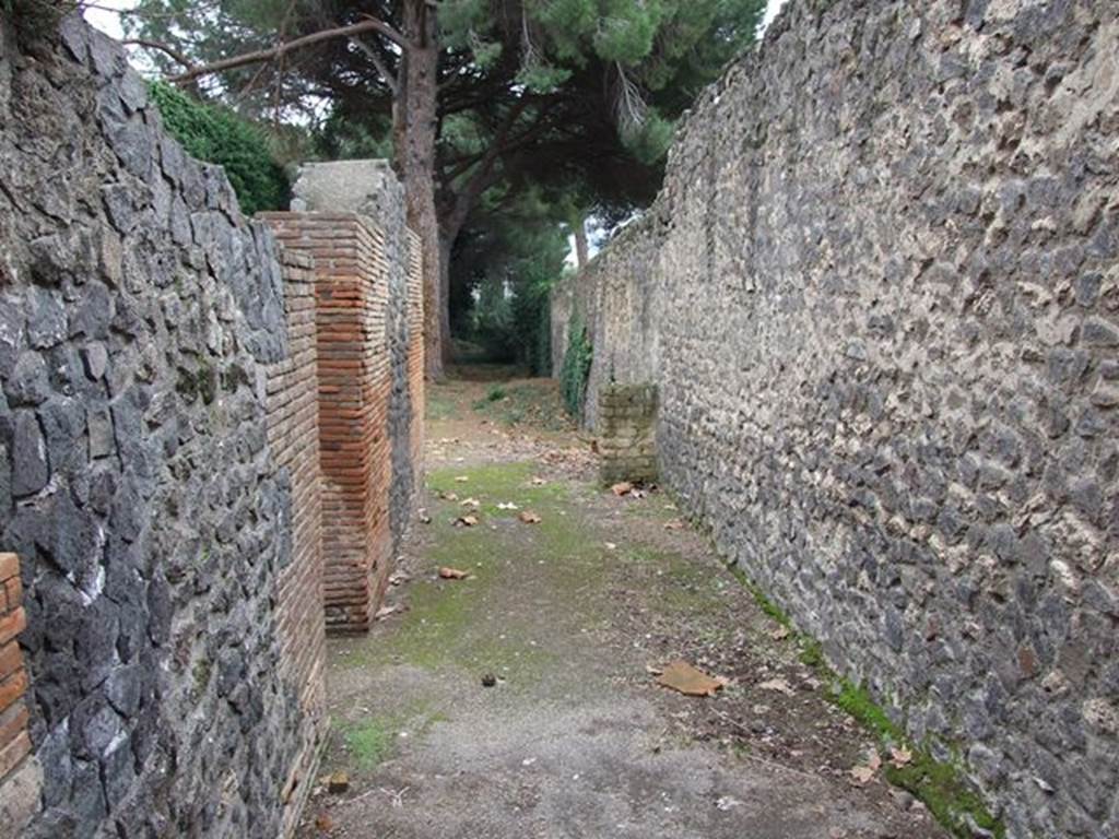 II.7.9a Pompeii. Palaestra. December 2006. Looking south past pedestal on outside of rear wall of II.8.6.